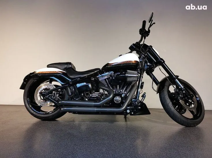 Harley-Davidson CVO Image 8